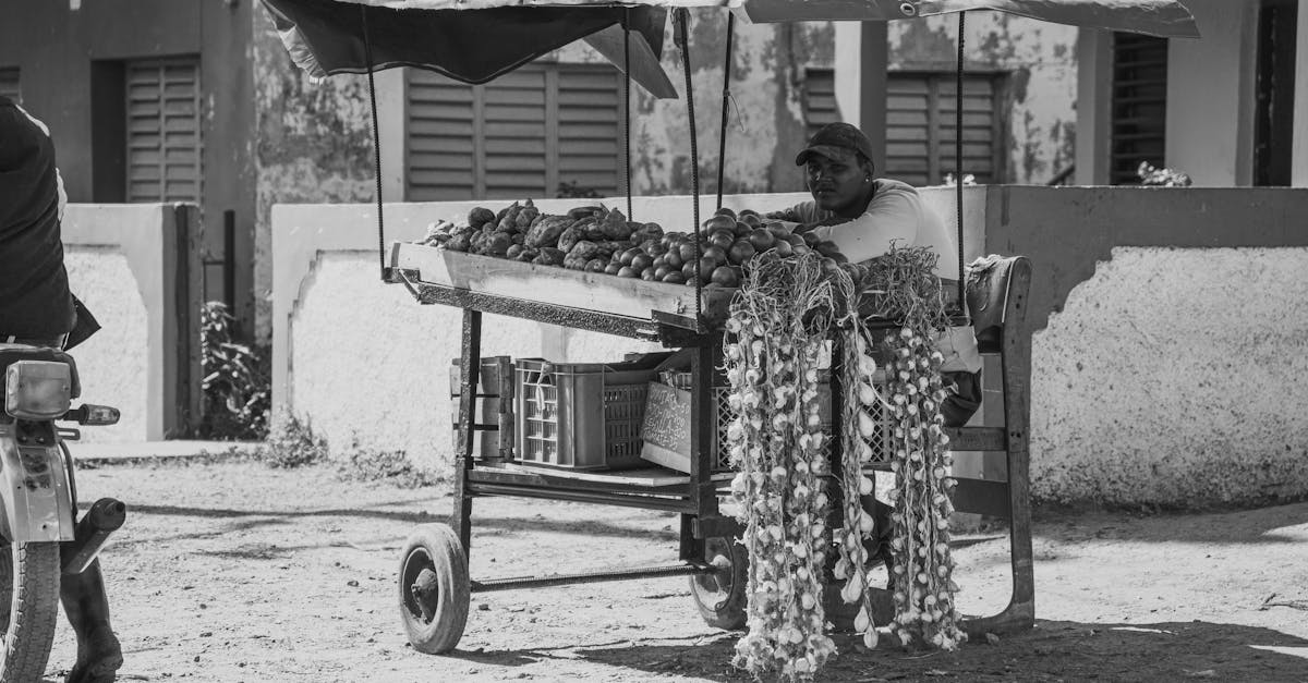 découvrez les légumes d’ombre : des variétés idéales à cultiver dans les zones peu ensoleillées de votre jardin. conseils, astuces et liste des meilleurs légumes adaptés à l’ombre.