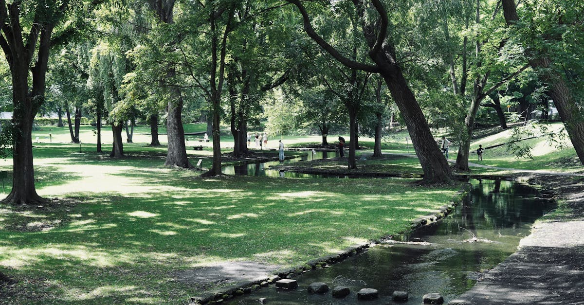 découvrez les légumes d’ombre : types, avantages pour le jardin, conseils de culture et idées recettes. parfait pour potagers avec peu d’ensoleillement !