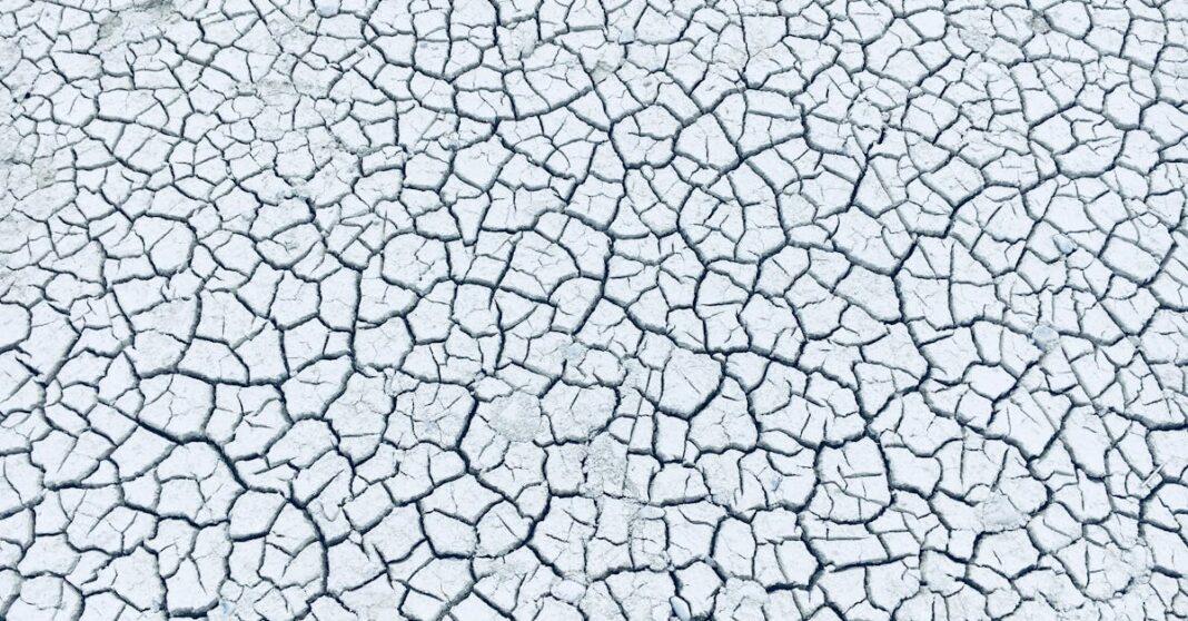 découvrez les meilleures techniques d’aération du sol pour améliorer la croissance des plantes, favoriser le drainage et optimiser la santé de votre jardin ou potager.