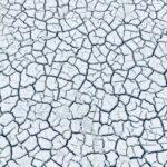 découvrez les meilleures techniques d’aération du sol pour améliorer la croissance des plantes, favoriser le drainage et optimiser la santé de votre jardin ou potager.