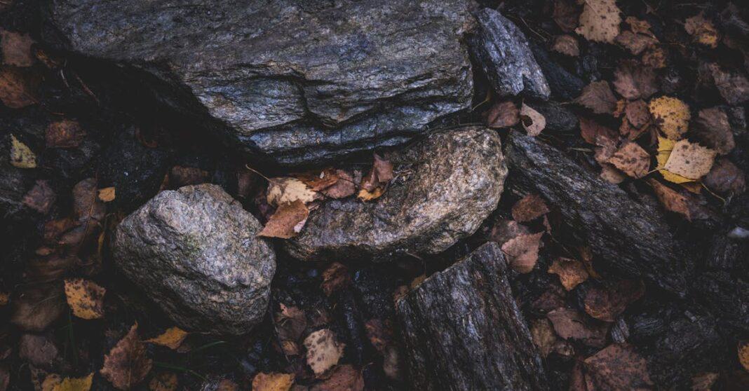 Sol compacté : astuces et outils pour l’aérer efficacement