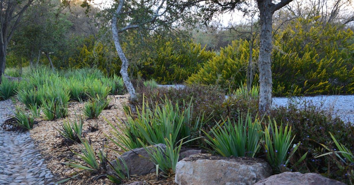 découvrez les meilleures plantes de jardin printanier pour égayer votre extérieur, conseils d’entretien et idées d’associations pour un jardin éclatant au printemps.