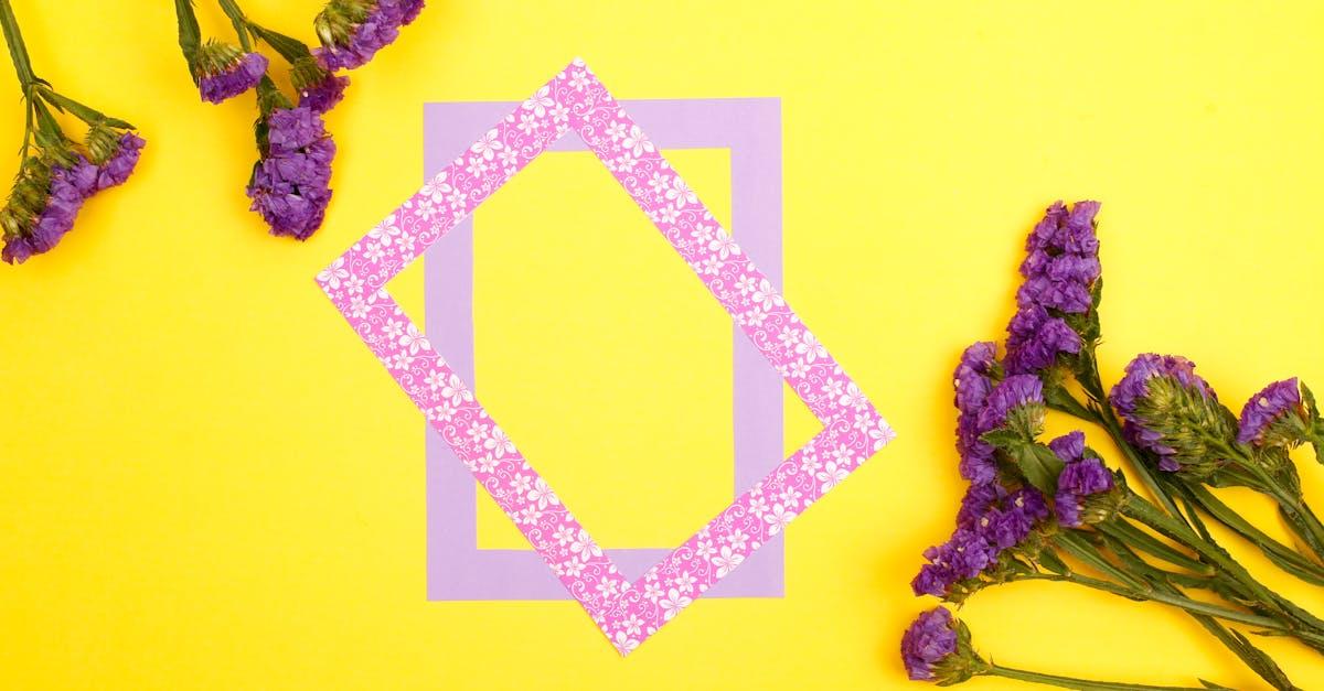 découvrez tout sur la plante statice : ses caractéristiques, conseils de culture, entretien, utilisations en bouquets et signification. idéal pour égayer votre jardin ou créer de magnifiques compositions florales durables.