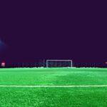 Tout savoir sur le gazon synthétique : guide pour le sélectionner, l'installer et le maintenir découvrez le gazon synthétique, la solution idéale pour un jardin toujours vert sans entretien. résistant, esthétique et facile à installer, le gazon artificiel transforme vos espaces extérieurs en un coin de verdure parfait toute l'année.