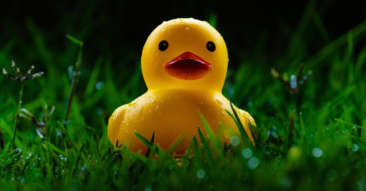 découvrez le gazon synthétique, une alternative durable et esthétique au gazon naturel. facile à entretenir, il offre une pelouse verte toute l'année pour jardins, balcons ou espaces sportifs.