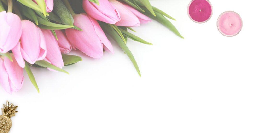 découvrez tout sur les tulipes : leurs différentes variétés, conseils de plantation, entretien et astuces pour profiter de magnifiques fleurs au jardin ou en intérieur.