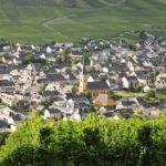 l'art de tailler la vigne en harmonie avec les cycles lunaires découvrez les meilleures techniques de taille de vigne pour optimiser la croissance, augmenter le rendement et améliorer la qualité du raisin. conseils pratiques adaptés à tous les niveaux.