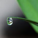 découvrez tout sur les water plants : leur rôle essentiel dans la purification de l’eau, le fonctionnement des stations de traitement et les différentes solutions pour obtenir une eau propre et saine.