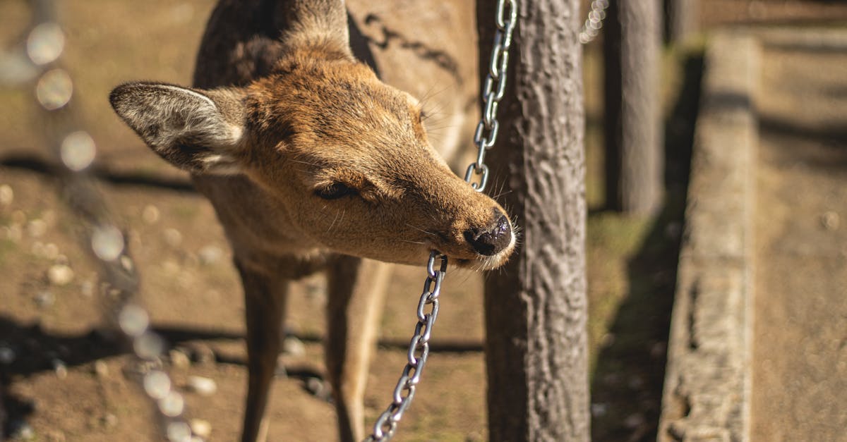 découvrez nos conseils, inspirations et idées pour organiser un mariage (wedding) inoubliable : décoration, robe, photographie, lieux et tout pour célébrer le plus beau jour de votre vie.