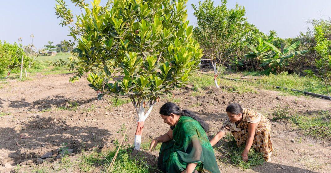 découvrez nos conseils, inspirations et astuces pour organiser un mariage inoubliable. que vous planifiiez une cérémonie romantique ou une fête grandiose, trouvez toutes les idées pour un weeding réussi !