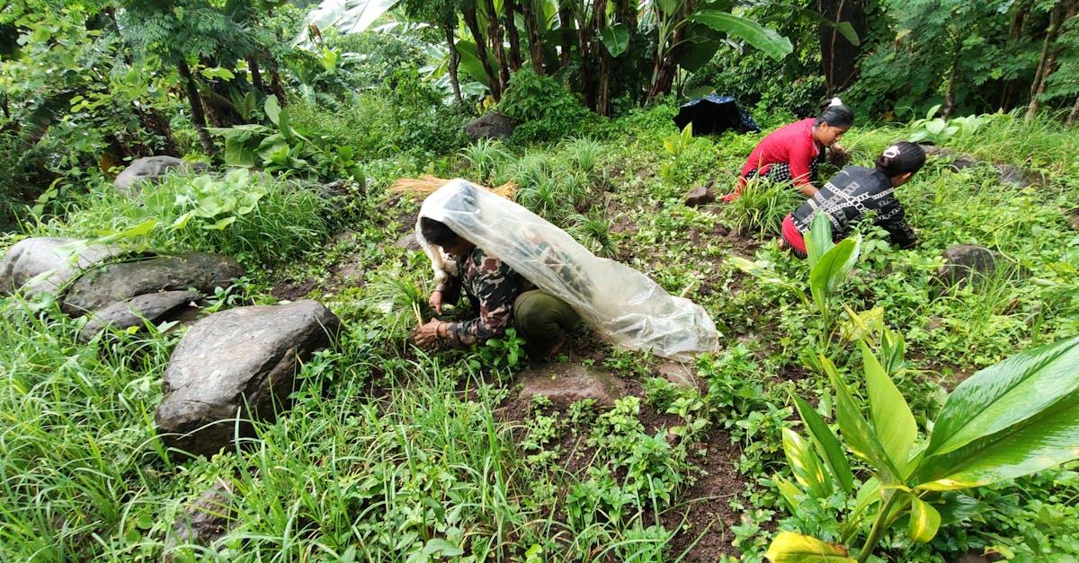 découvrez nos conseils, astuces et inspirations pour organiser un mariage inoubliable. que vous planifiez votre cérémonie, la réception ou la décoration, trouvez toutes les informations pour réussir votre weeding de rêve.