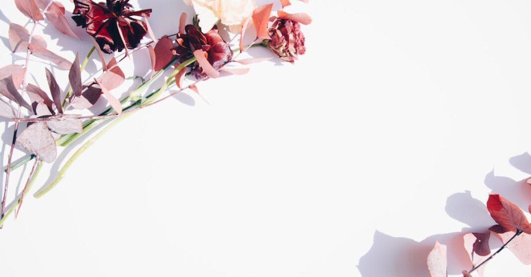 découvrez la beauté intemporelle des fleurs blanches. signification, variétés populaires et conseils pour intégrer ces fleurs élégantes dans votre jardin ou décoration.