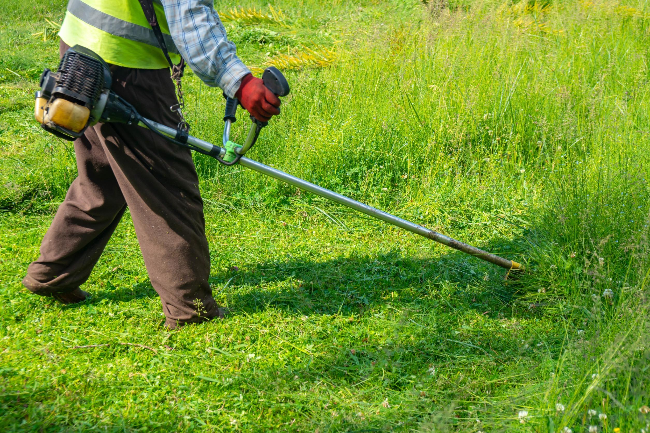 Comment obtenir une pelouse parfaite tout au long de l'année ? Jardinbio — free download
