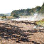 Comment utiliser les cendres et le charbon de bois comme engrais au jardinpotager Smoke ascends from a recently burnt field in a lush rural landscape, bordered by trees.