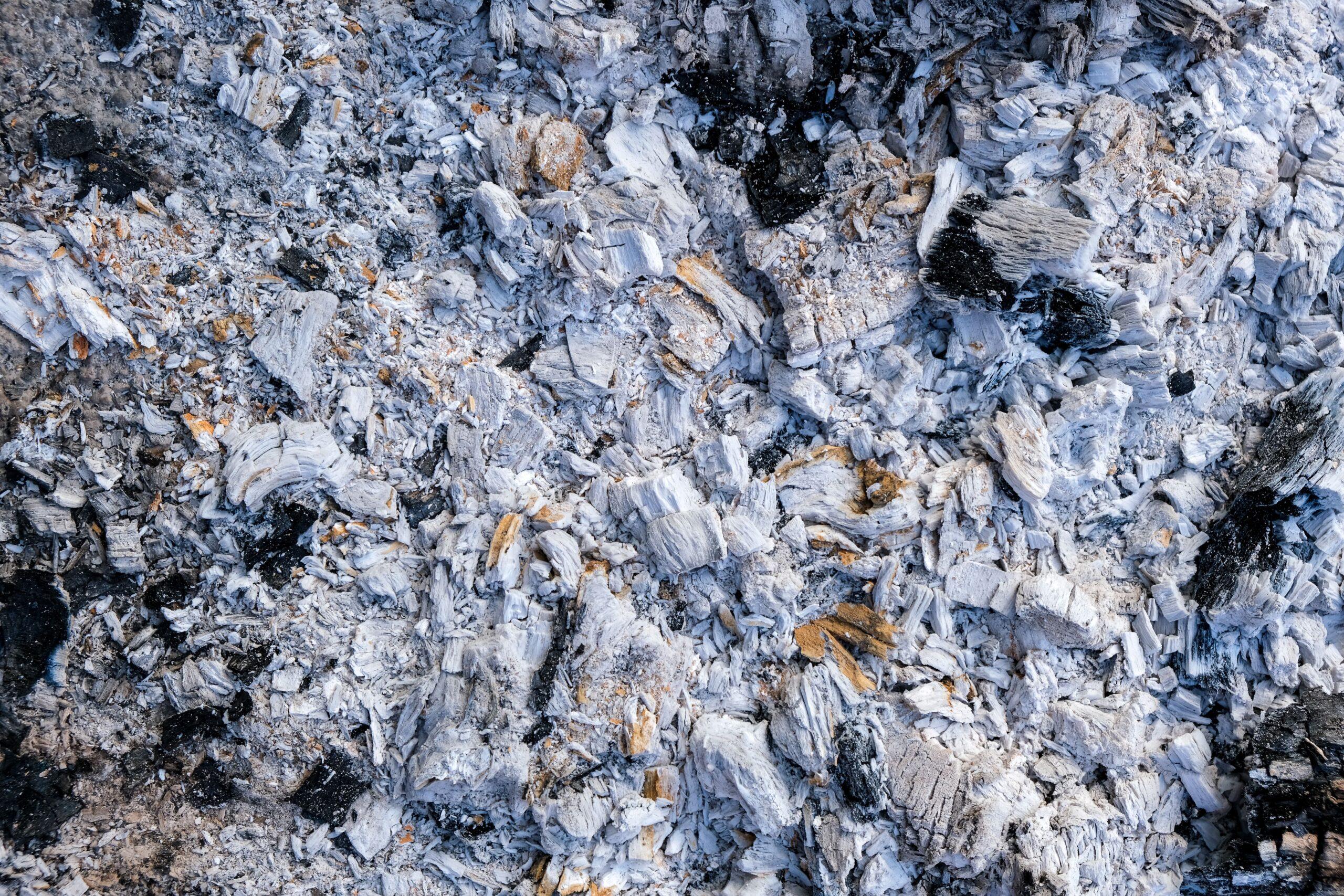 Quand la cendre tire la tronche du mauvais côté