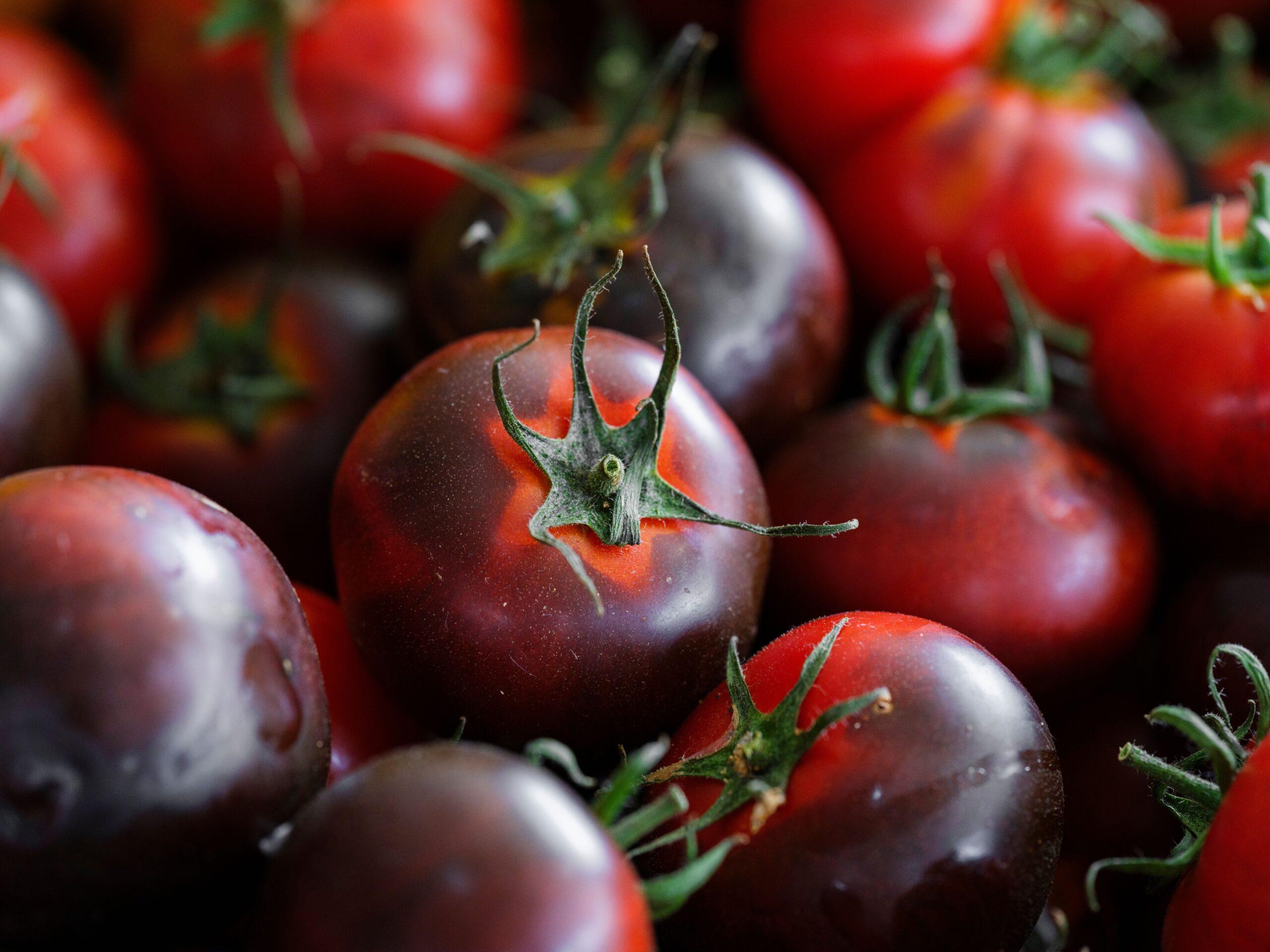 Des tomates sombres, mais pas vraiment noires