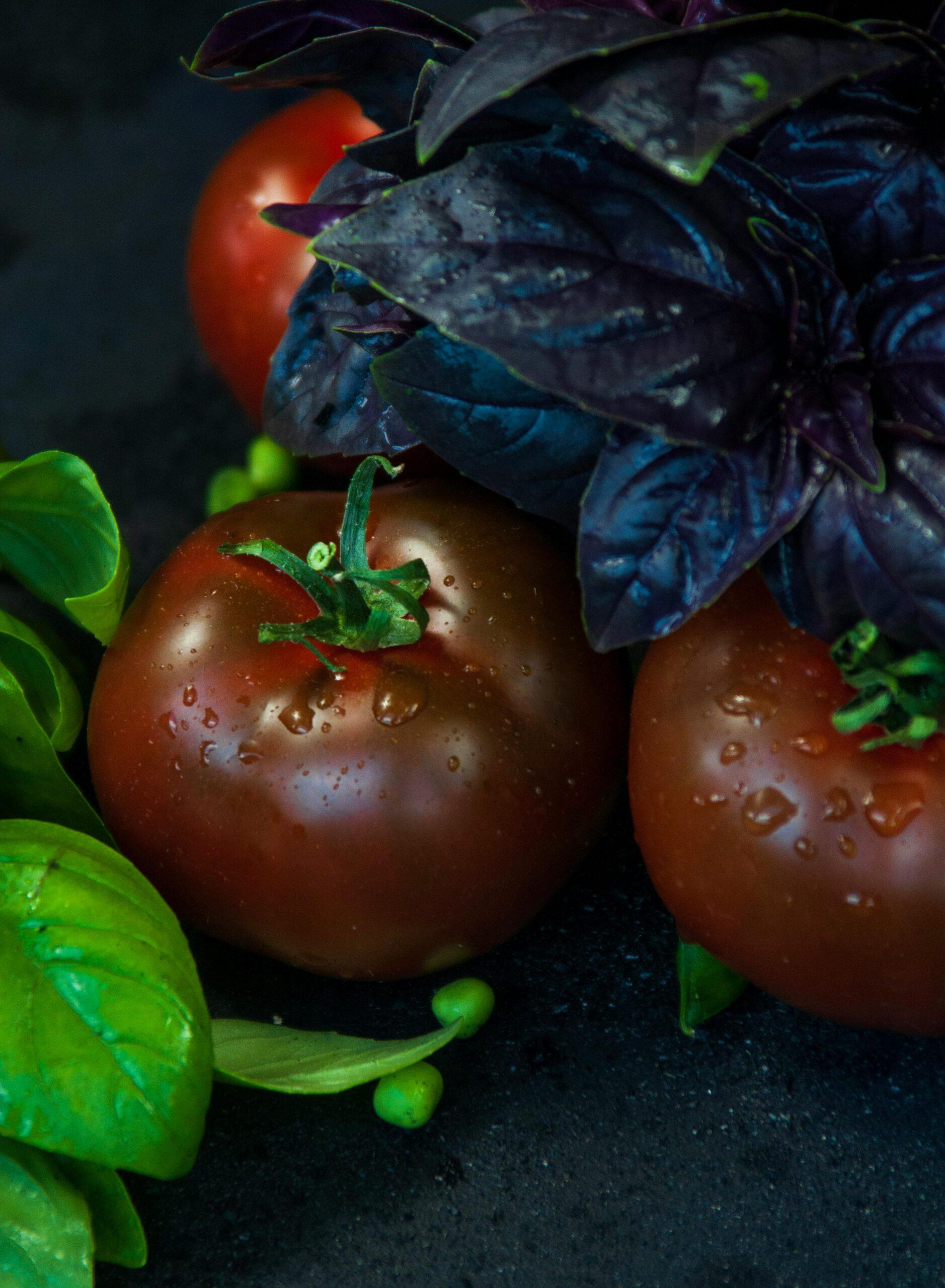 Serre ou plein soleil : à chaque tomate sa scène