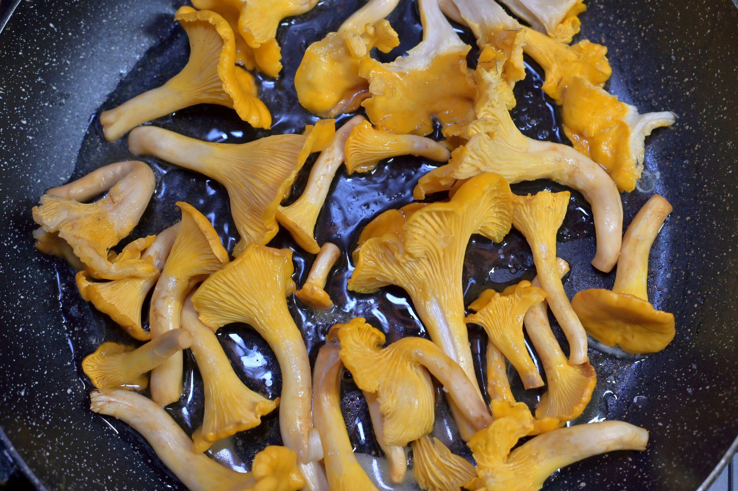 Espèces de girolles : jaune franc ou trompette discrète ?