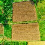 Rotation des cultures pour réussir la culture de l ail Vibrant aerial landscape of diverse farmland in West Java, showcasing varied crops and colors.
