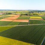 Stunning aerial view of vibrant patchwork agricultural fields and a distant village.