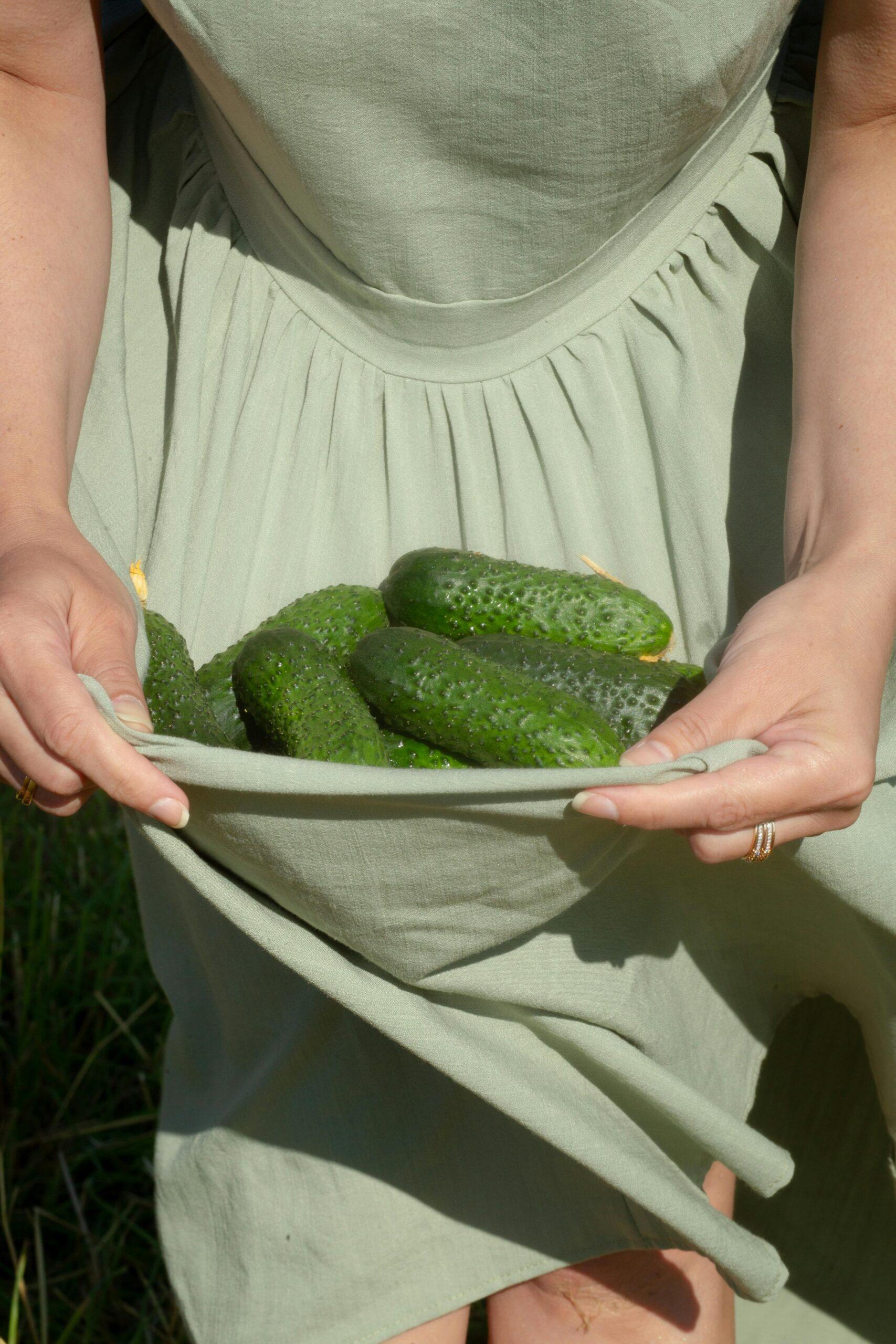 Quand la plante fait la fine bouche