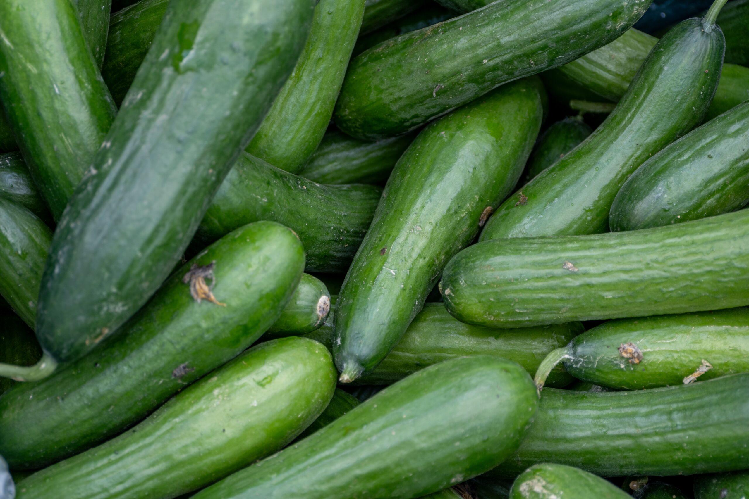 Petit fruit, costaud caractère