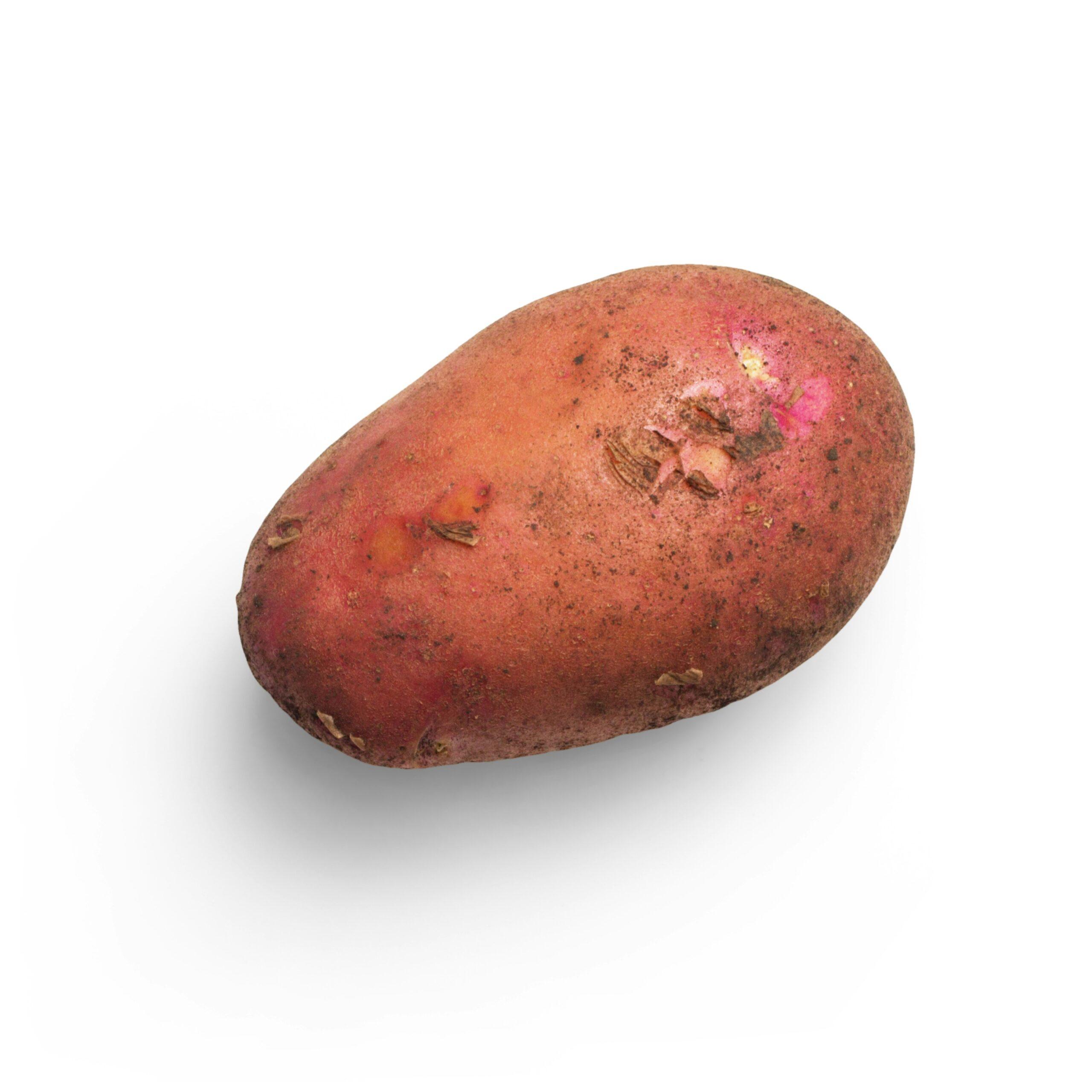 Choisir sans s’arracher les cheveux : la bonne variété, au bon coin du jardin
