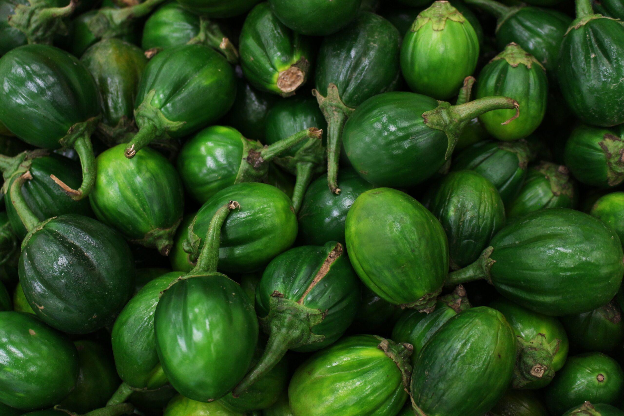 Aubergine au carré : la taille qui change tout, même sans serre de luxe