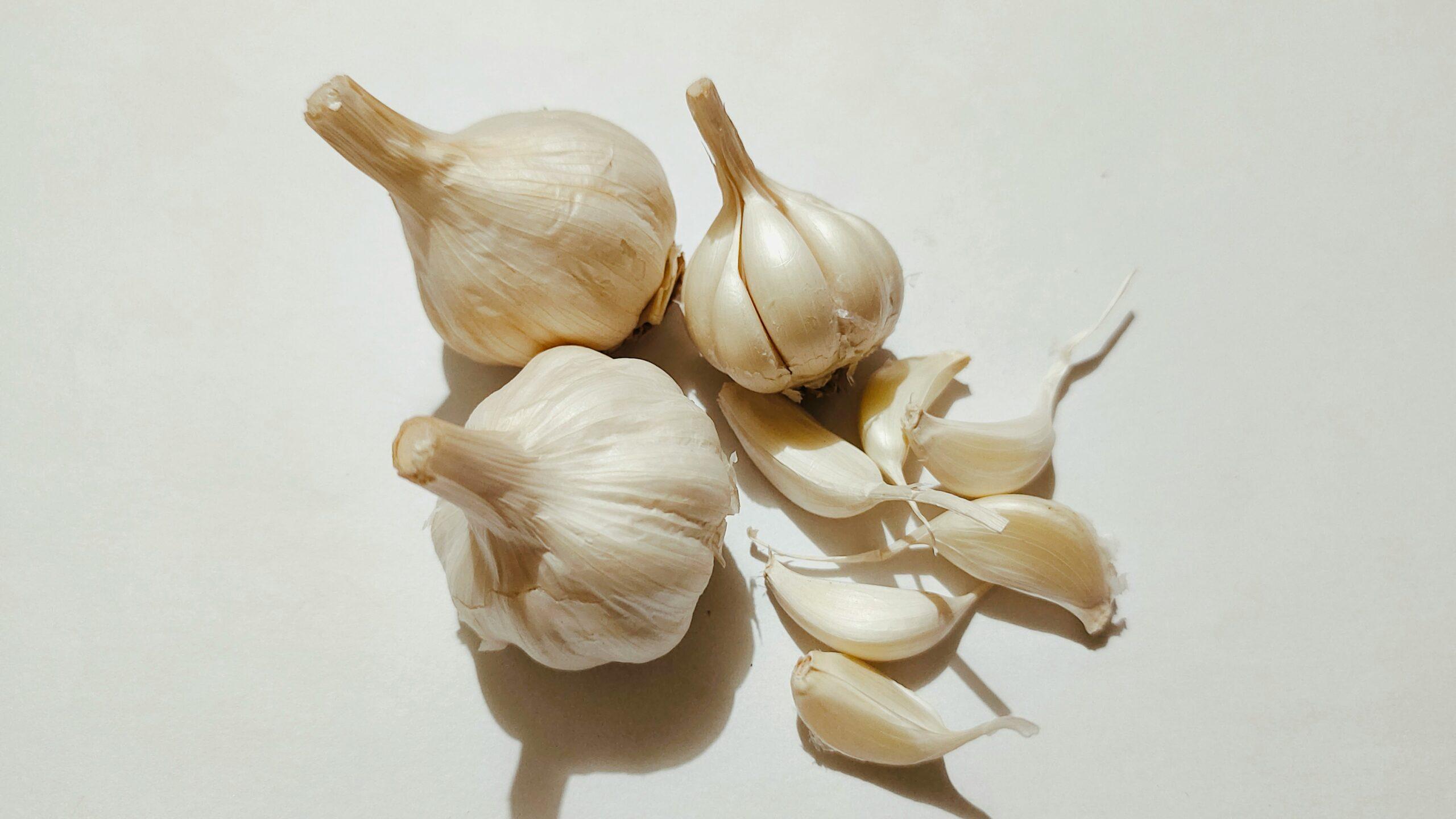 Champignons au garde-à-vous, mais pas toujours bienveillants
