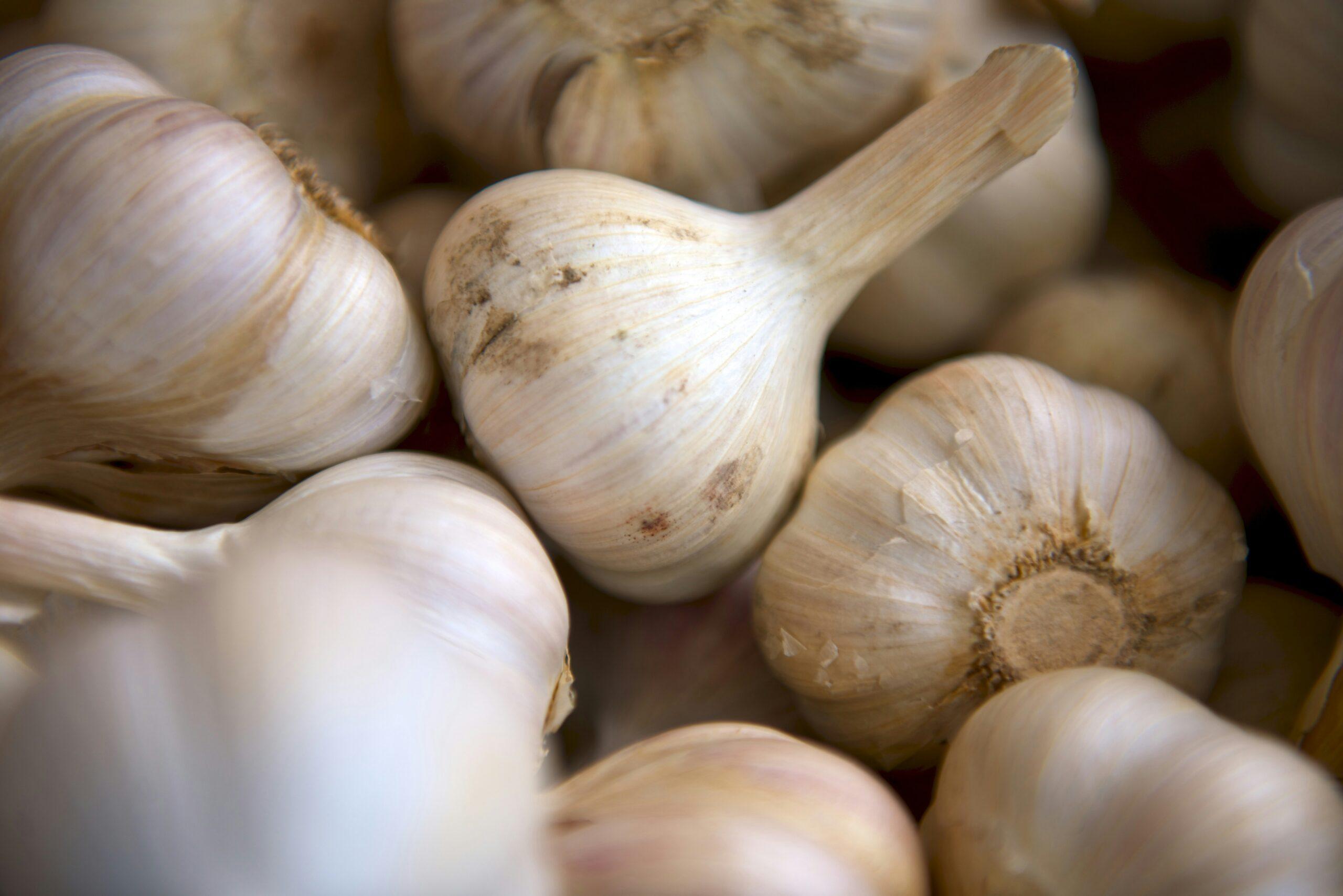 Des tiges d’ail à la sauce hiver : conserver sans gaspiller