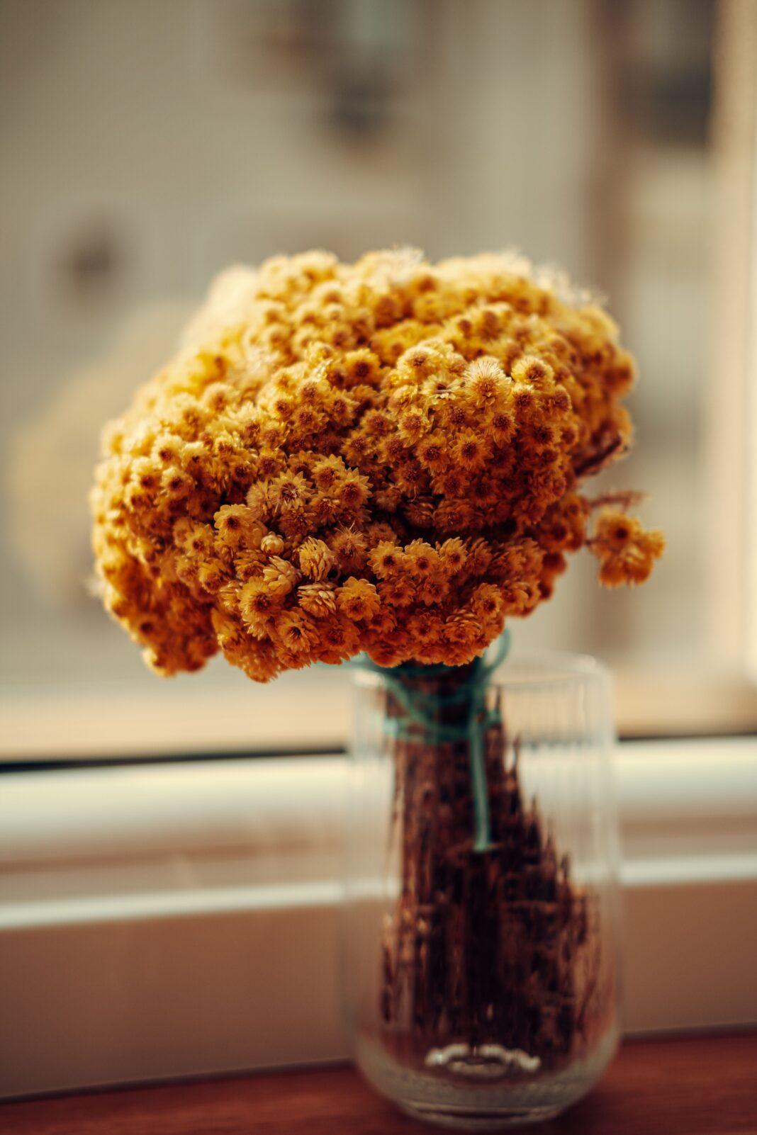 Vibrant yellow immortelle flowers in a glass vase. Perfect for home decor and floral photography.