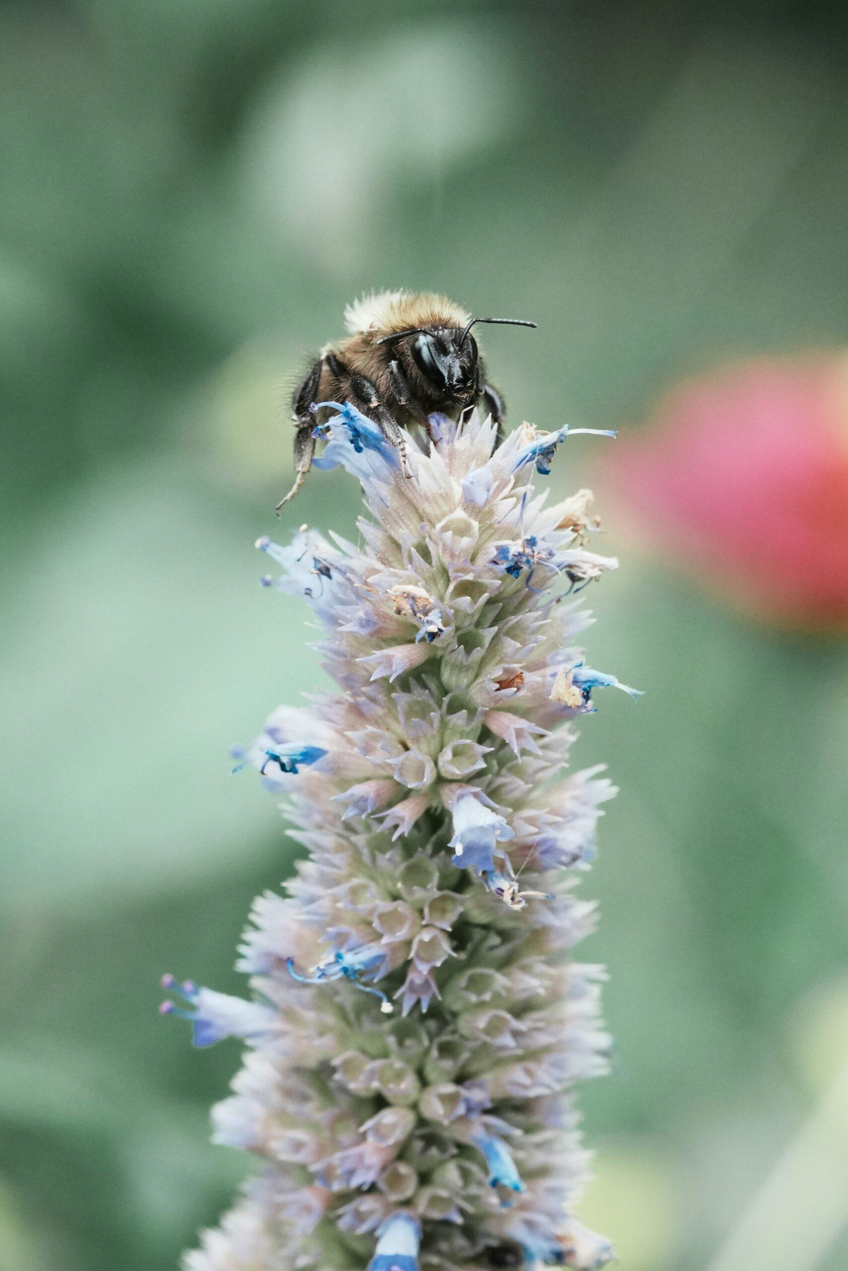 Semis d’avance, jardin mieux lancé