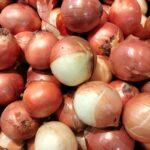 Rotation Oignon Quoi Planter Apres Conditions Sol Culture A vibrant pile of fresh red and white onions at a local market.