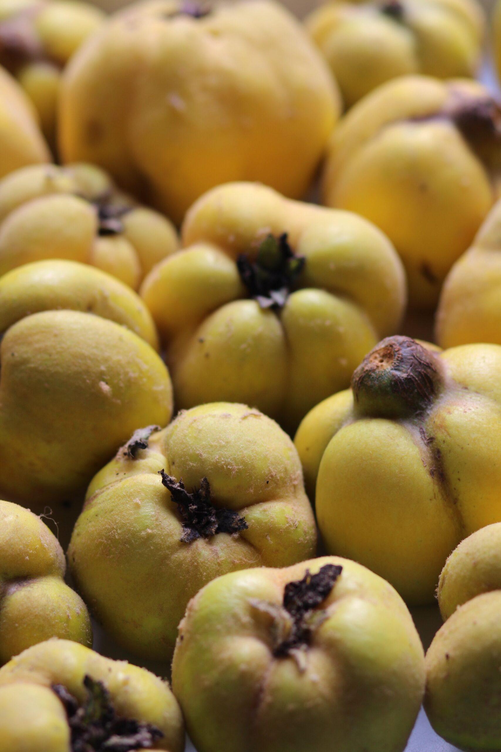Coings au four : le cœur qui fond