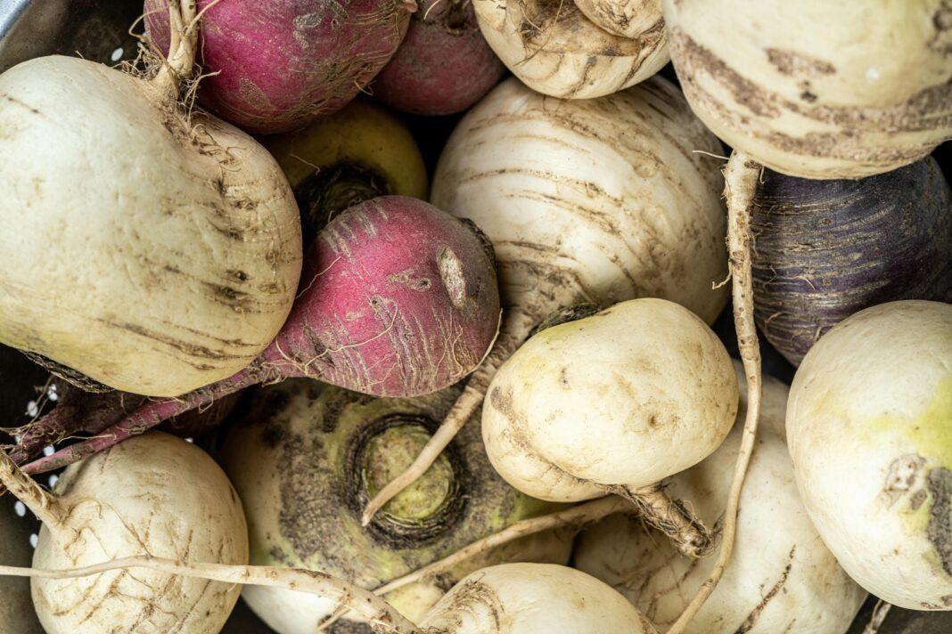 Close-up of assorted fresh turnips highlighting their natural textures in a rustic setting.