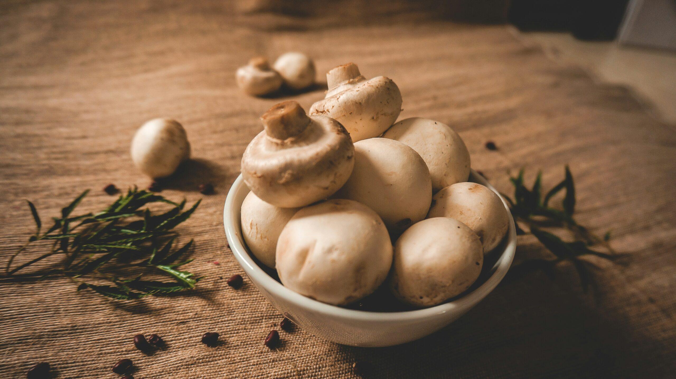 Maslyata, podberezoviki : le menu des sous-bois russes