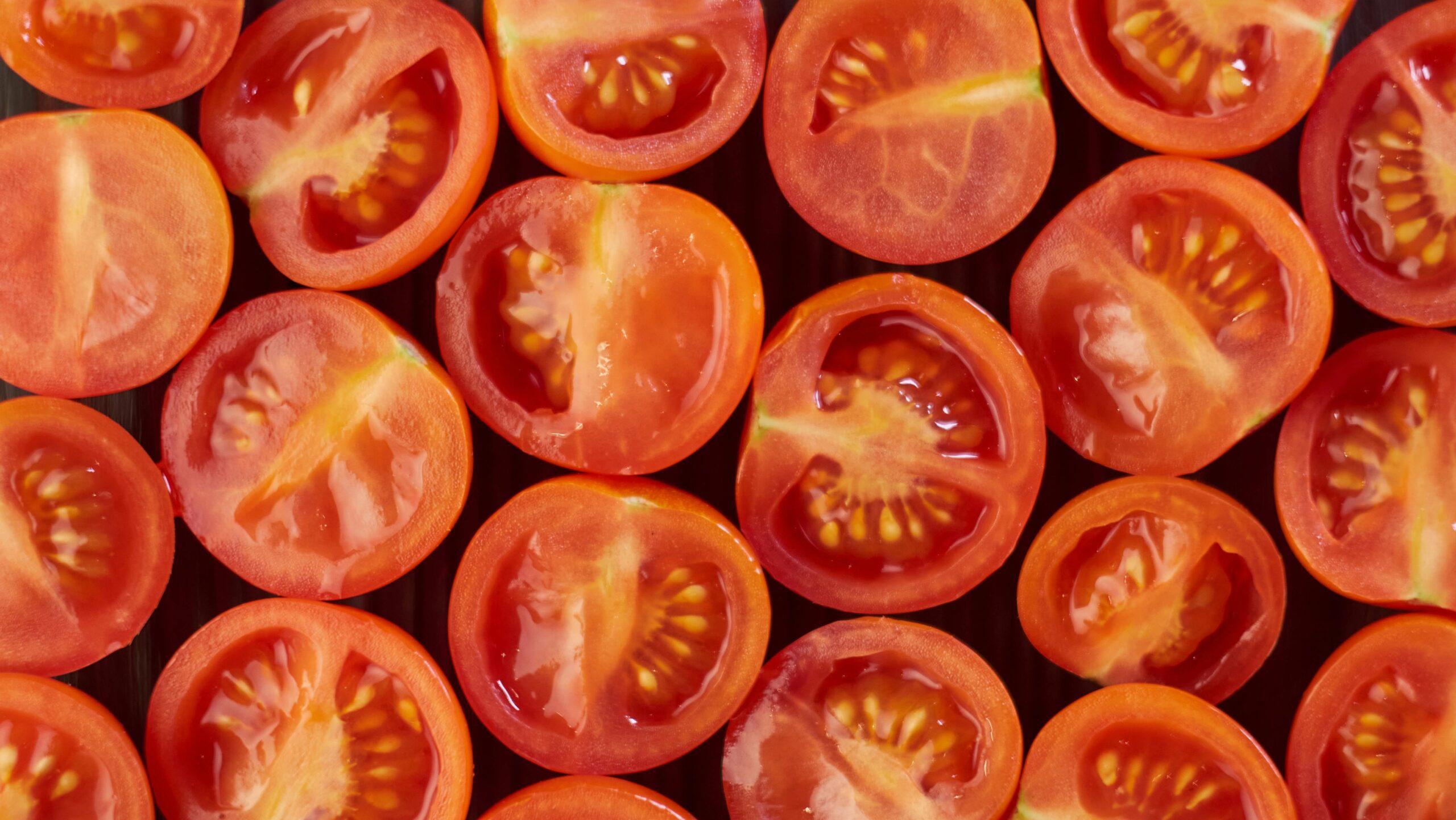 Semis direct : la tomate sort du salon