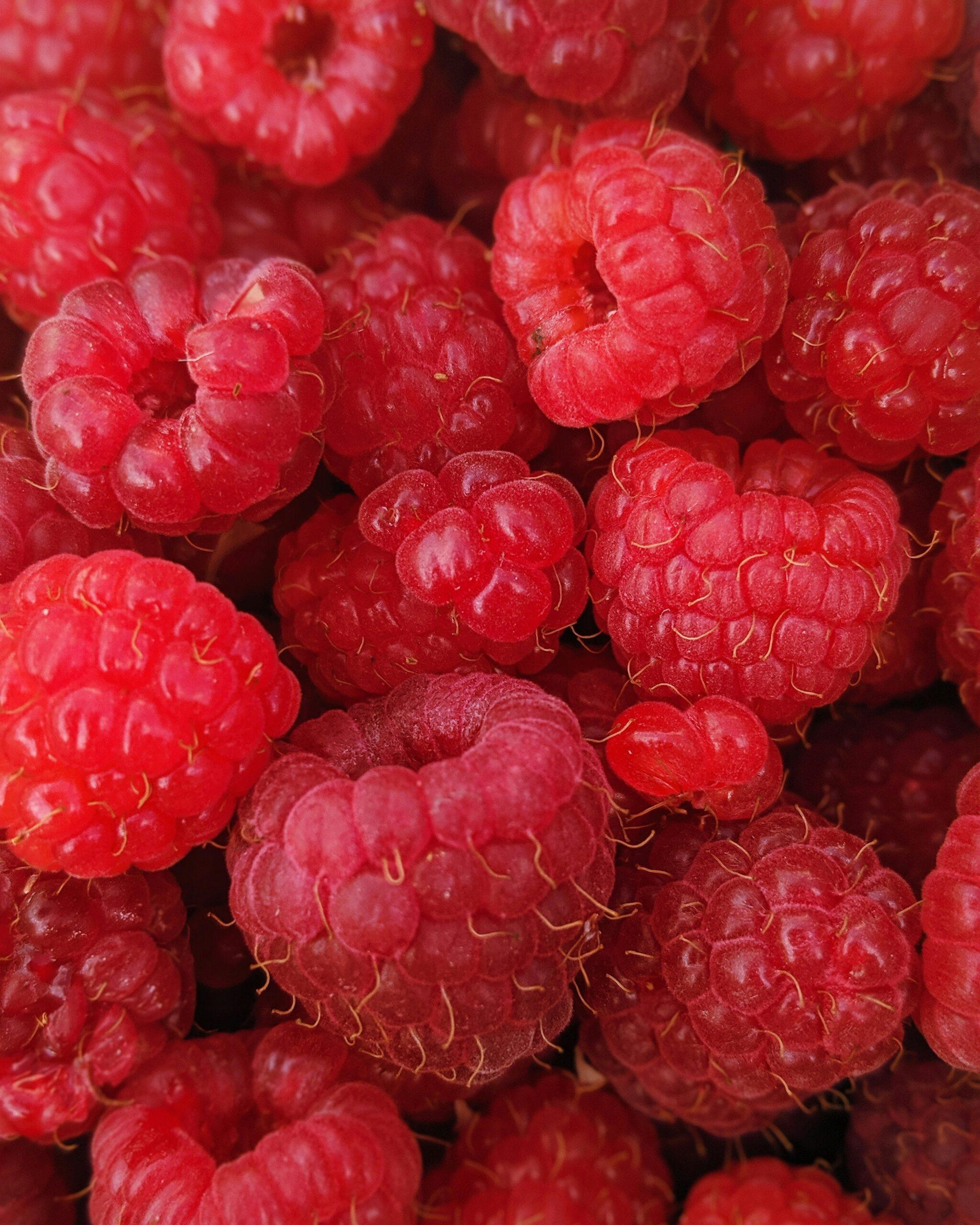 Loganberry : la discrète qui a tout déclenché