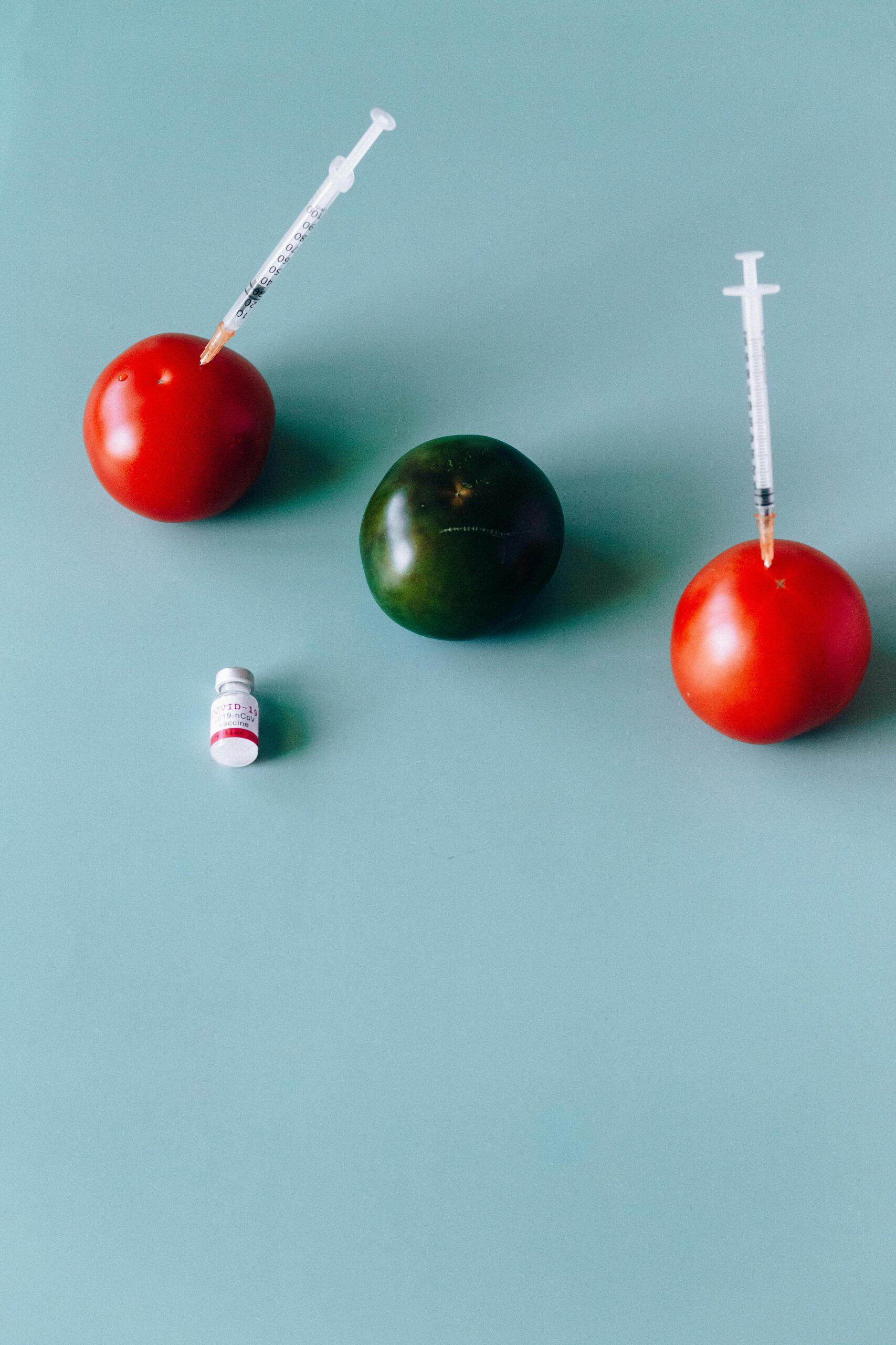 Quand la tomate tire la sonnette d’alarme