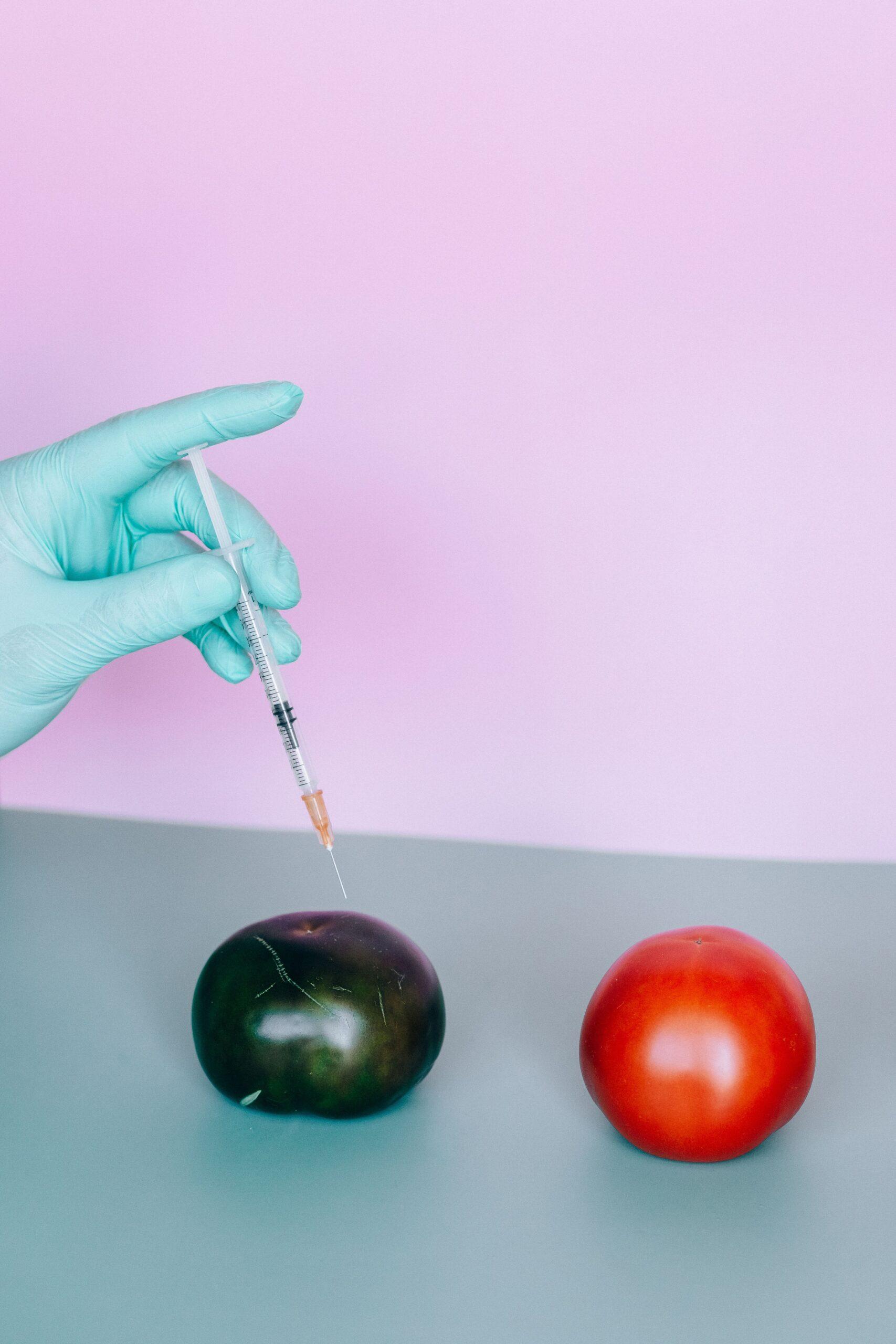 Tomates malades : repérer, prévenir et limiter les dégâts sans bricoler au hasard
