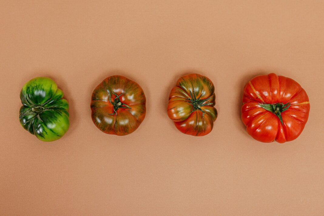 Four heirloom tomatoes showing stages of ripeness on an orange background.