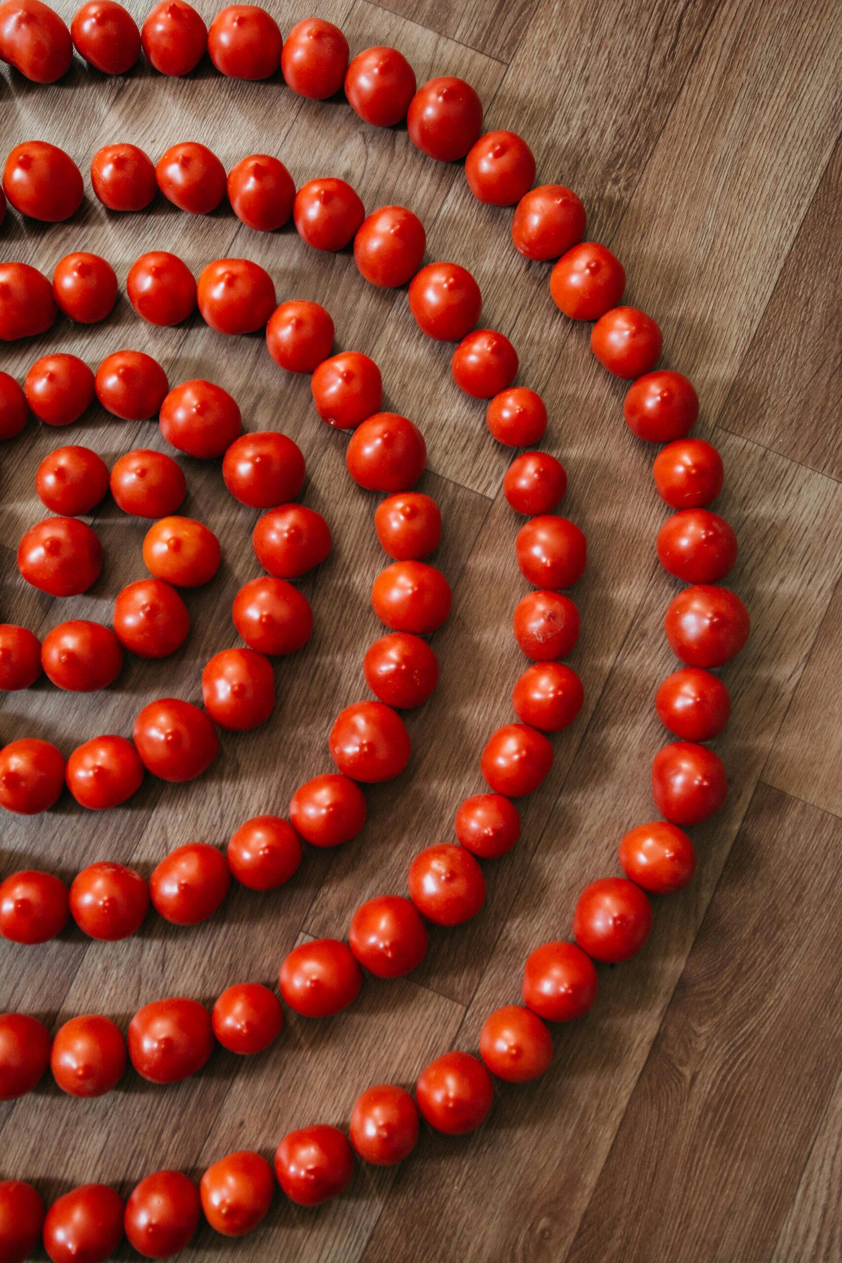 Tomates au carré : la rotation qui évite les faux pas