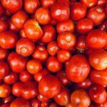 Calendrier lunaire 2019 semis tomates jours favorables et defavorables A vibrant display of fresh red tomatoes at a market in Coimbatore, India - summer harvest.