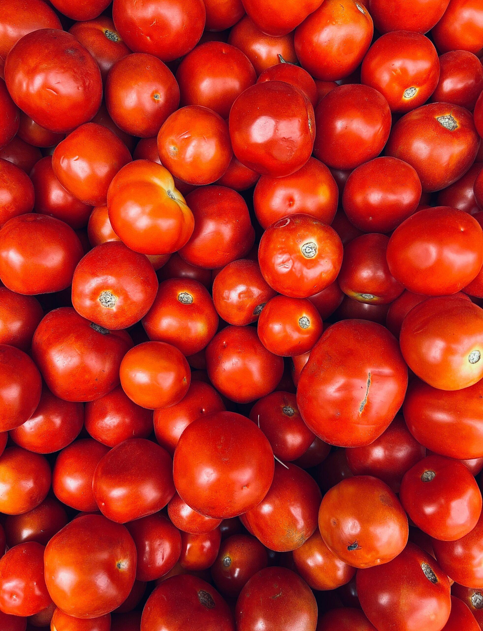 A vibrant display of fresh red tomatoes at a market in Coimbatore, India - summer harvest.