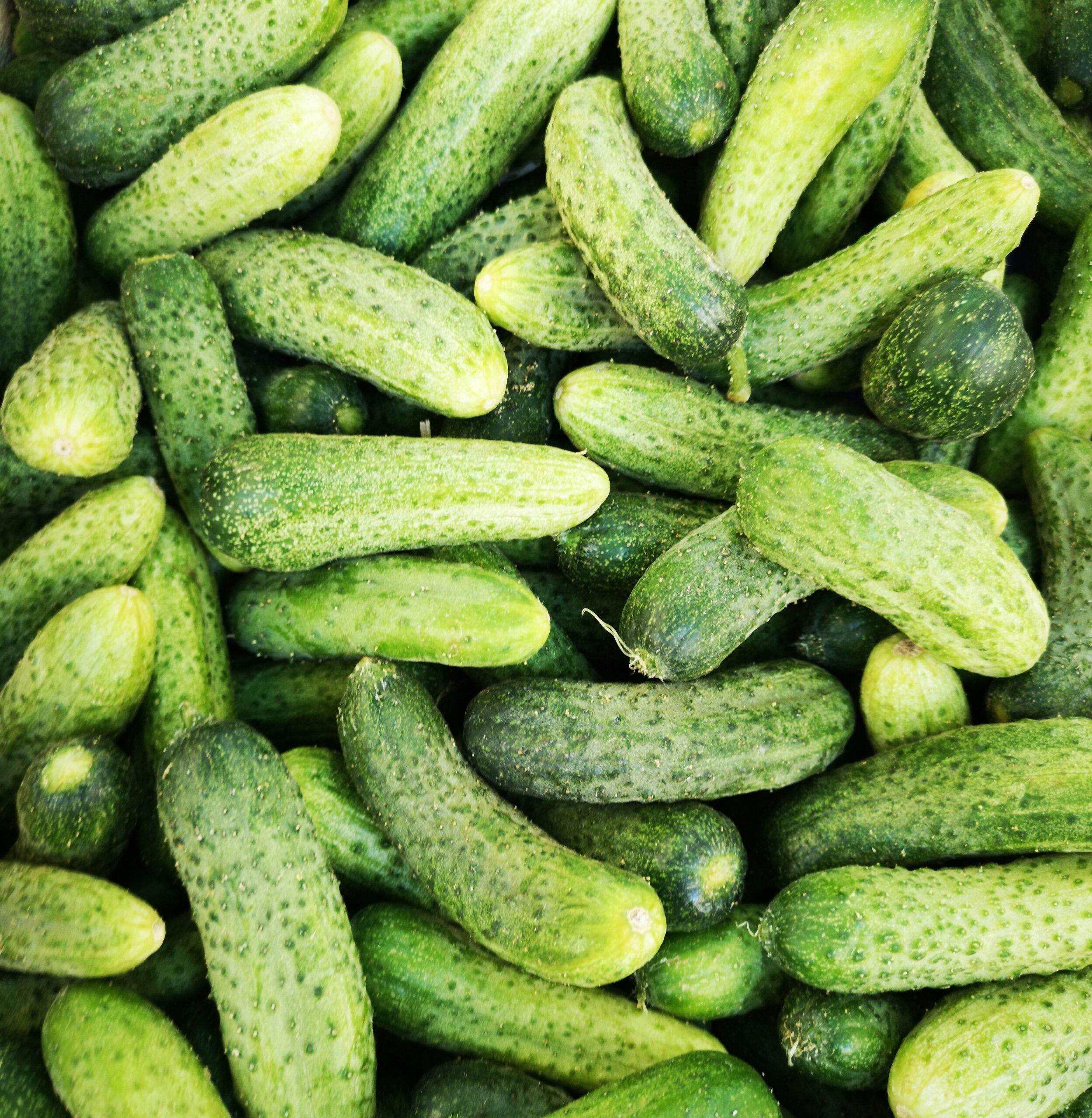 Pourquoi les concombres ont besoin d’un coup de main