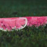 Pourquoi la pastèque est une baie ou un fruit selon la science Two ripe watermelon slices lying on lush green grass, showcasing summer freshness.