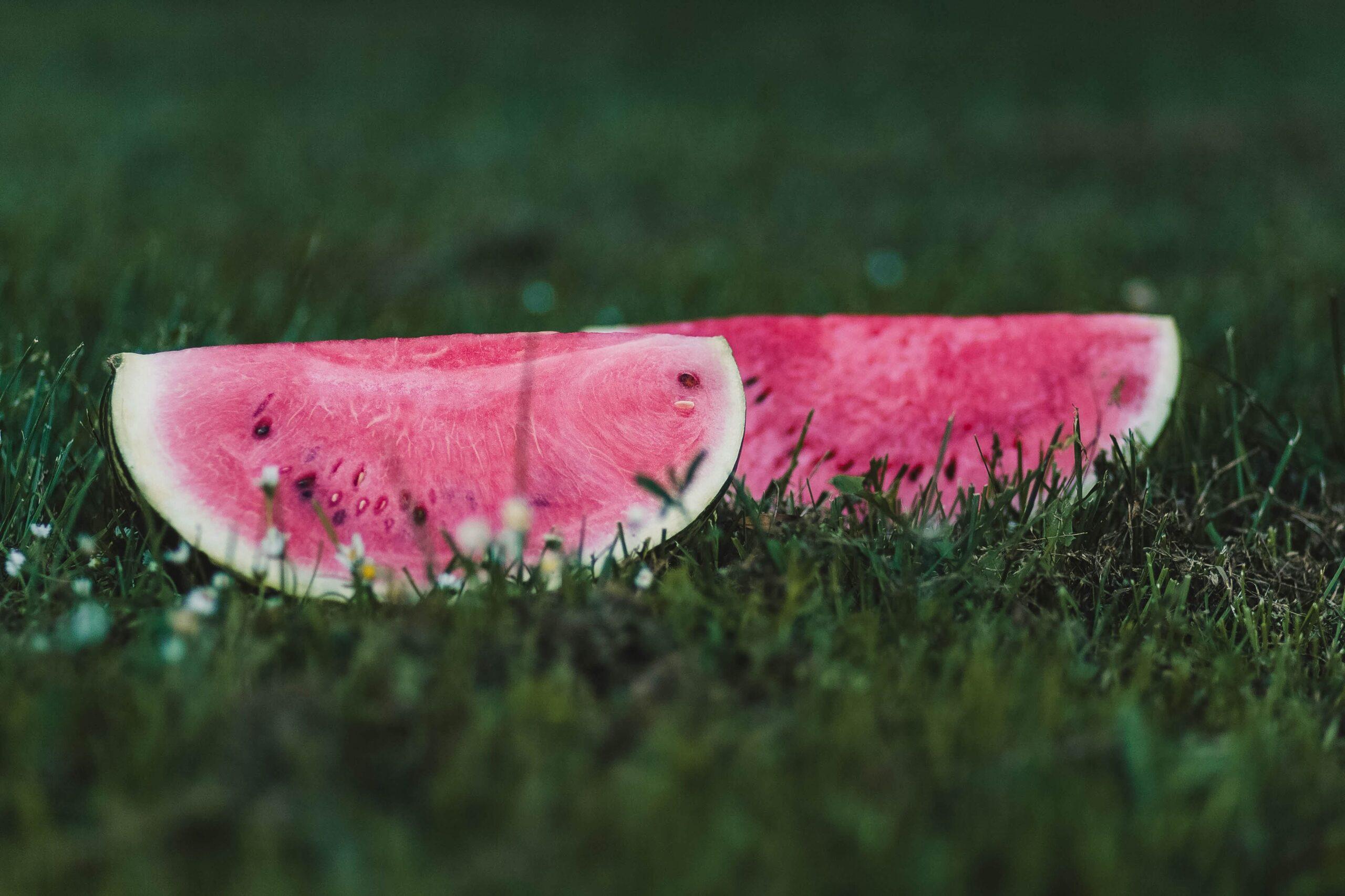 Two ripe watermelon slices lying on lush green grass, showcasing summer freshness.