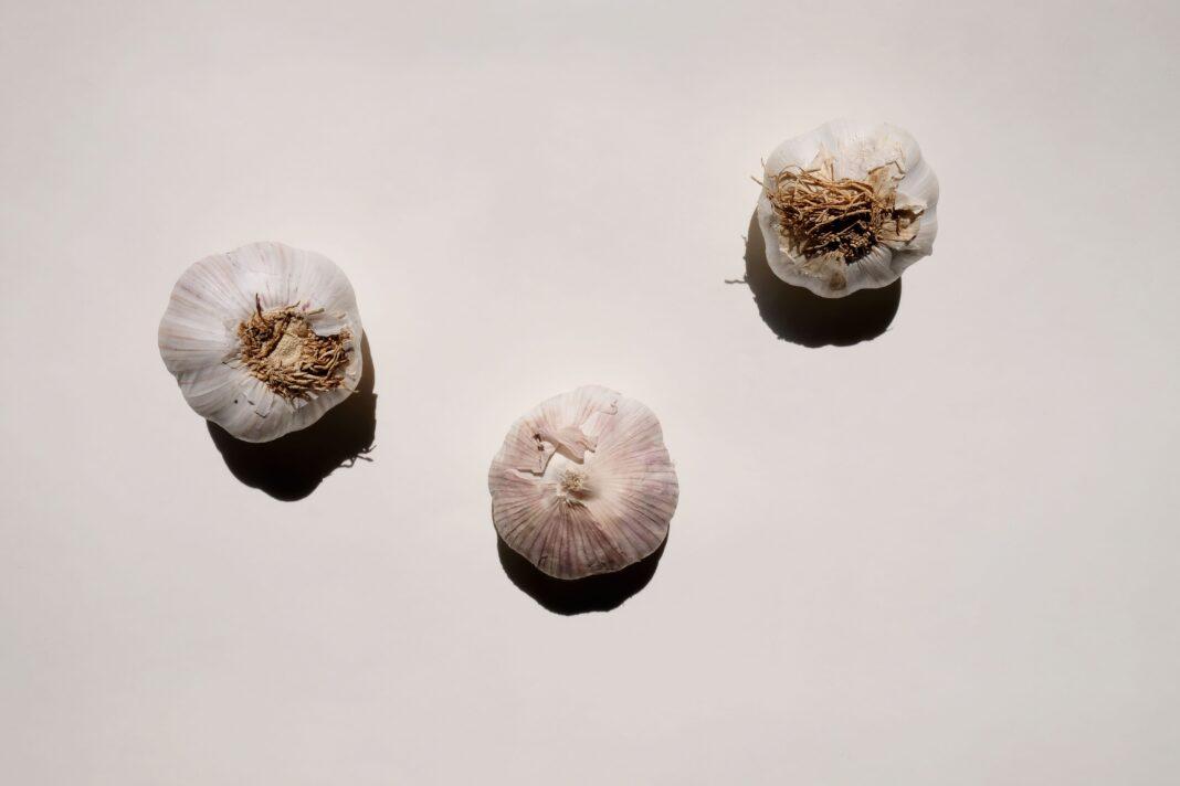 Artistic top view shot of three garlic bulbs against a light background, highlighting their textures.