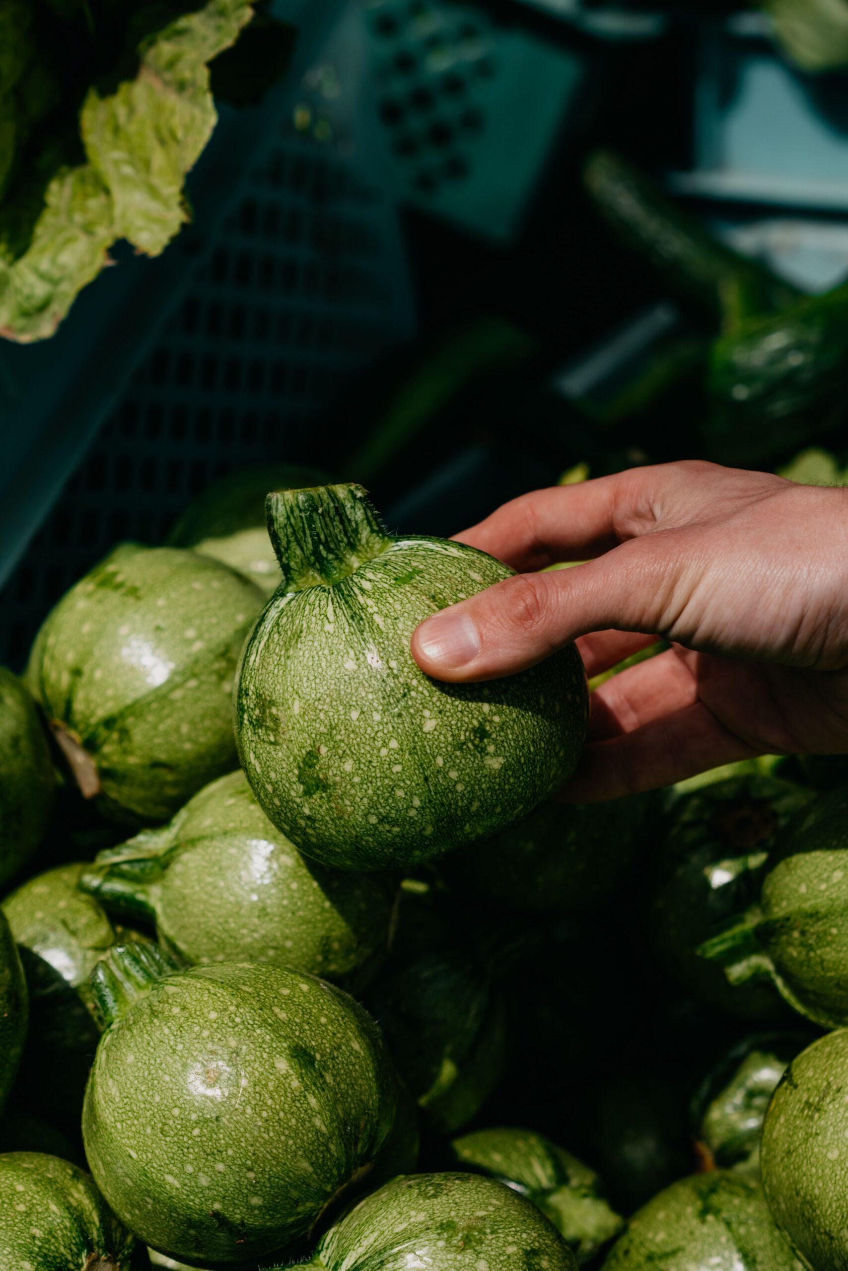Courgettes en bocal : le caviar d’hiver qui ne fait pas semblant
