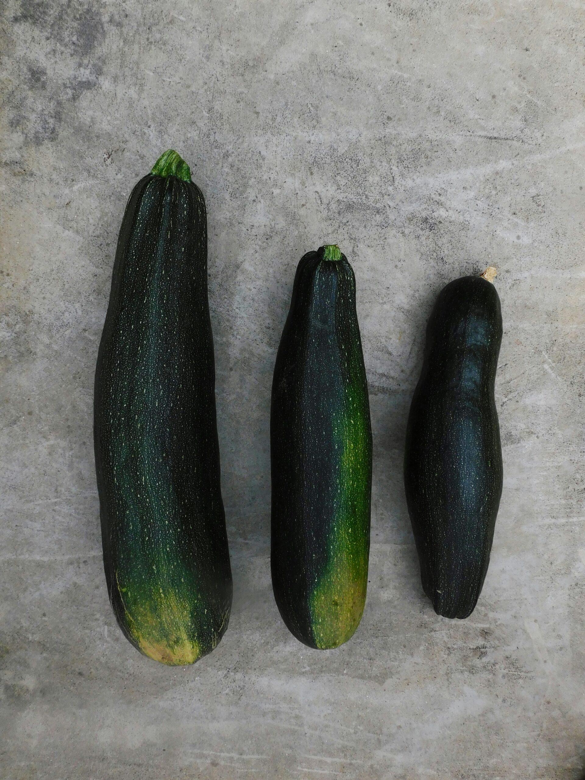 Variétés de courgettes : de quoi nourrir le quartier sans se tromper